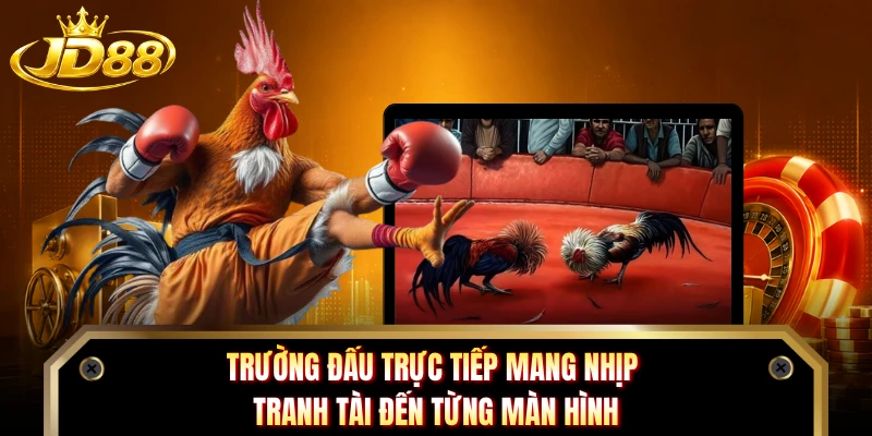 Trường đấu trực tiếp mang nhịp tranh tài đến từng màn hình